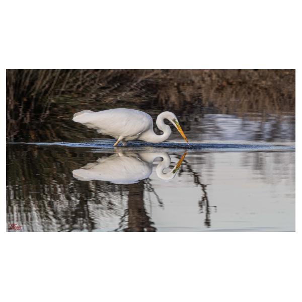 PHOTO84, CLUB, 84 , LUBERON